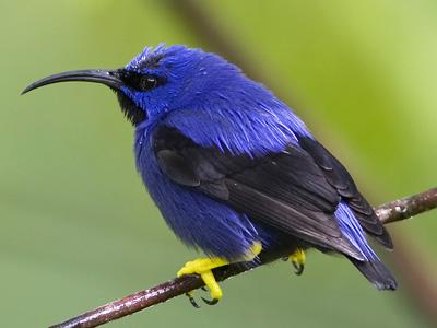 interesting_2012092513391222 (400x300, 14Kb)