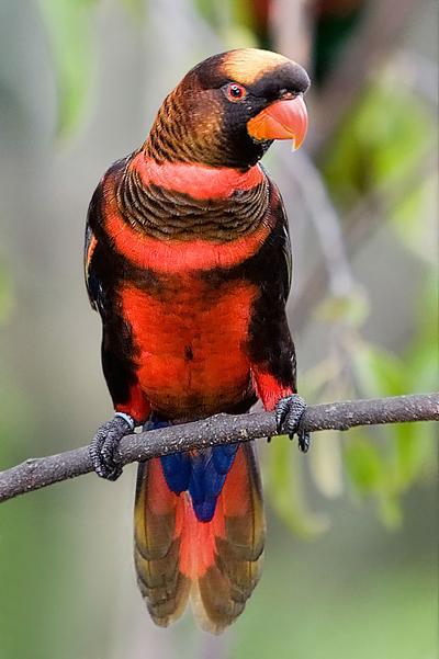 interesting_2012092513560714 (400x601, 33Kb)