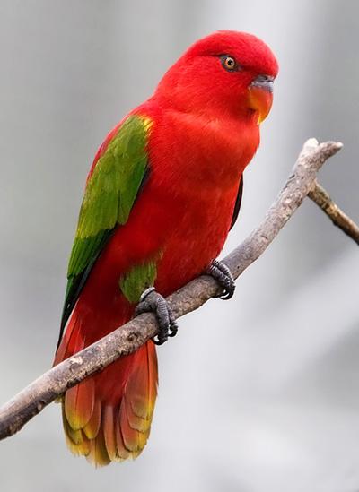 interesting_2012092513560717 (400x549, 22Kb)