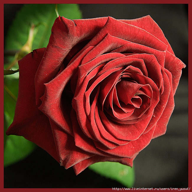 0d1b782f8fa9ca0e4ddd000209808128 (650x650, 321Kb)