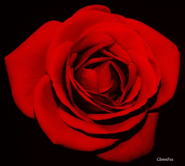 831719365 (1) (600x539, 527Kb)