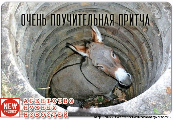 5655625_IO3d9Y7QPRQ (604x422, 200Kb)