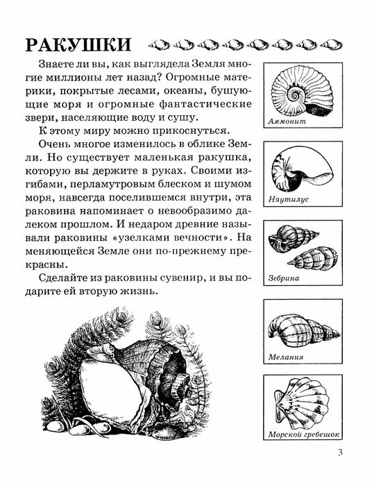 Записи с меткой топиарий