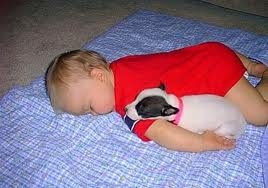sleeping small children Pictures3 (268x188, 36Kb)
