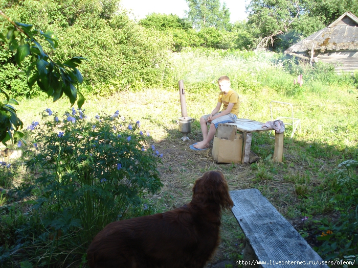 DSC01503 (700x525, 444Kb)