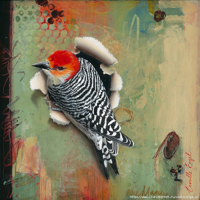 Camille Engel-Bird-Painting-Red-Bellied Woodpecker (700x699, 488Kb)