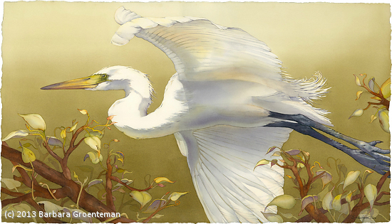 passing-through-white-egret (550x315, 266Kb)