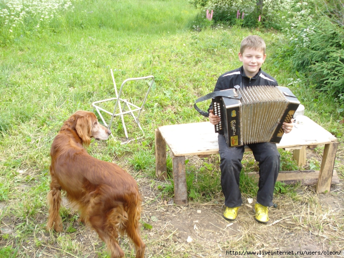 DSC01506 (700x525, 430Kb)