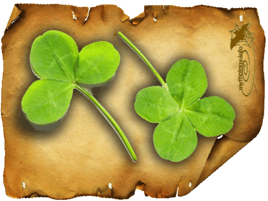 Четырёхлистный Клевер символ Ирландии. Четырёхлистный Клевер символ удачи. Четырехлистный Клевер (Шемрок). Клевер четырехлистный Святой Патрик.