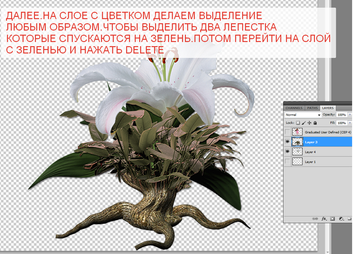 2014-06-15 04-18-29 Без имени-35.psd @ 100% (Layer 3, RGB 8)   (700x501, 362Kb)