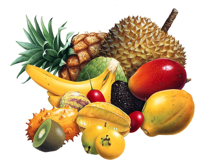 Овощи и фрукты картинки цветные