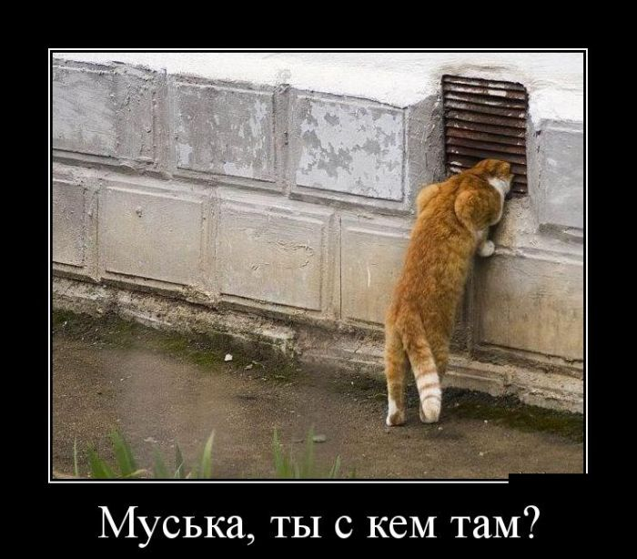 vesielie_demotivators_zapilili.ru_60 (700x614, 243Kb)