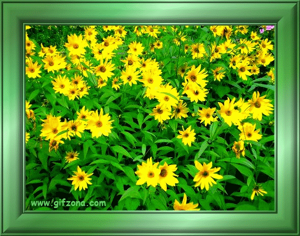 29 (590x465, 809Kb)