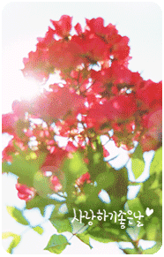  (186x291, 48Kb)