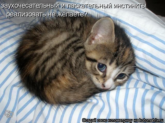  (639x479, 62Kb)