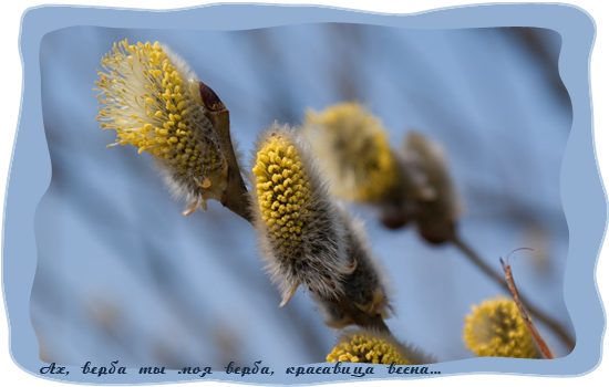 ,  1 (550x350, 215Kb)