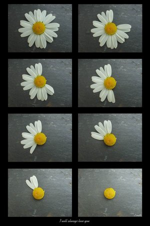  (300x450, 25Kb)