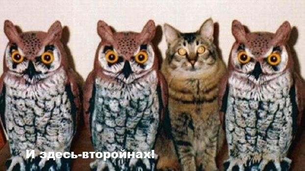  (622x348, 46Kb)