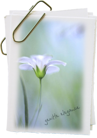 gentle elegance 1 (316x450, 160Kb)