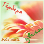  (150x150, 35Kb)