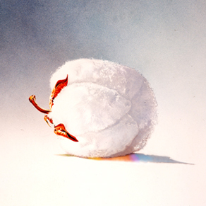 (292x291, 65Kb)