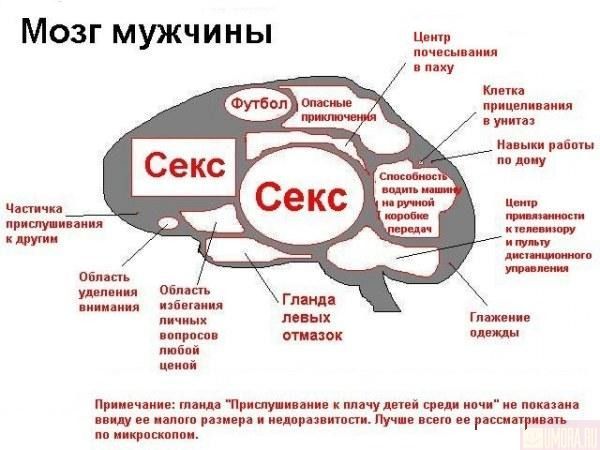  (600x450, 45Kb)