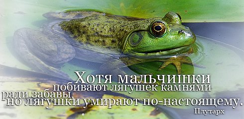 http://img1.liveinternet.ru/images/attach/c/0//43/311/43311734_1236335671_131yi2.jpg