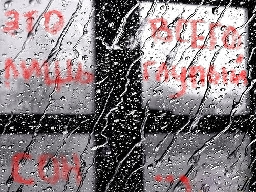  (500x375, 241Kb)
