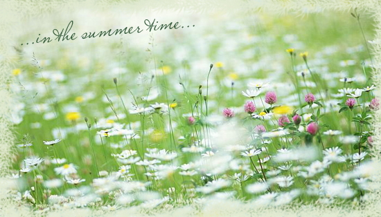 in the summer time 2 (550x314, 194Kb)