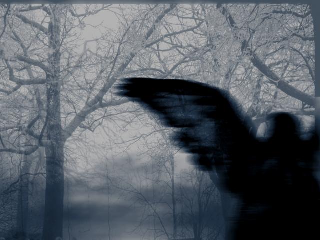  (640x480, 41Kb)