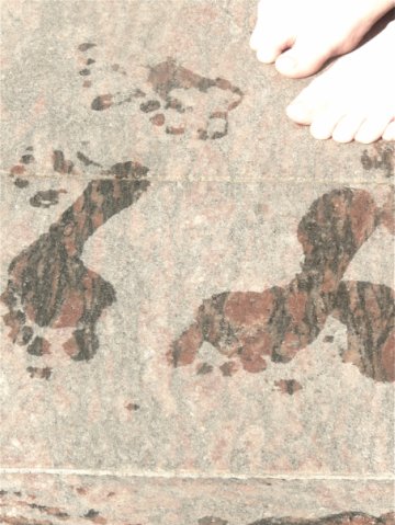  (360x479, 42Kb)