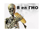  (140x105, 26Kb)