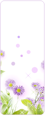  (155x400, 22Kb)