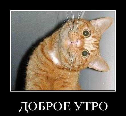  (443x408, 27Kb)