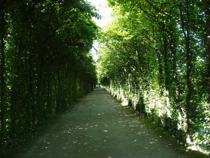 (700x525, 151Kb)