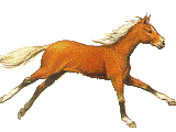  (160x120, 25Kb)