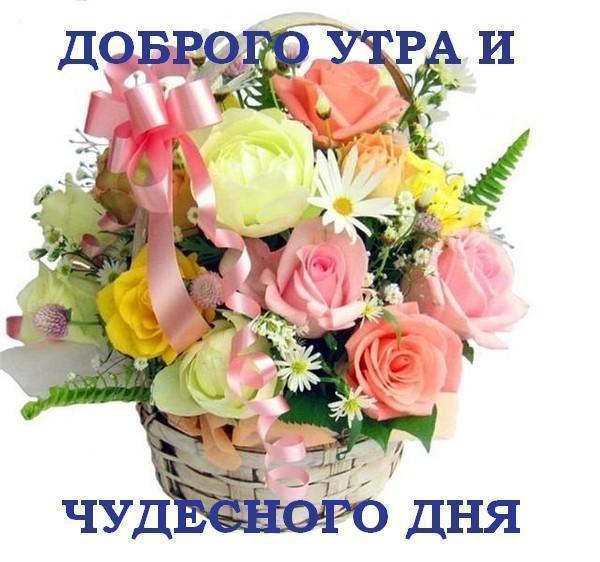  (600x562, 51Kb)