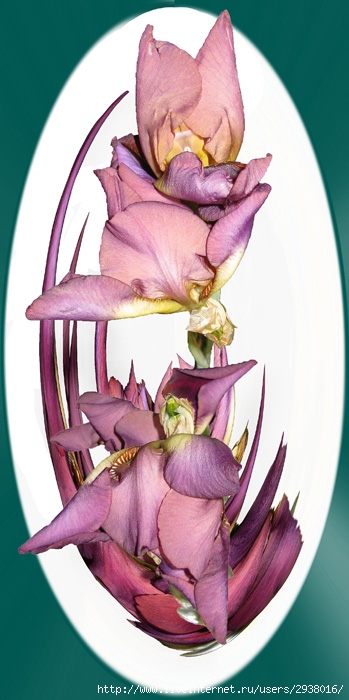  (349x700, 116Kb)