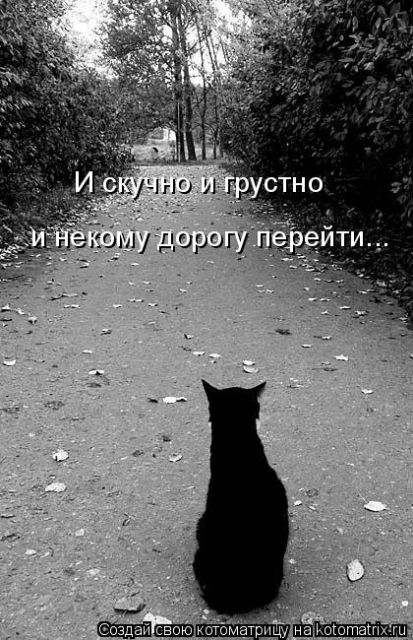  (413x640, 72Kb)