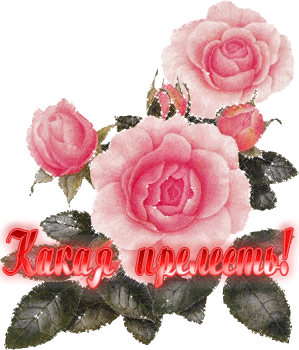  (299x350, 155Kb)