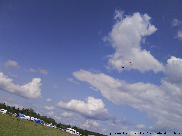 DSC02475 (700x525, 56Kb)