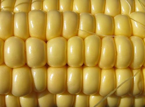  (500x368, 39Kb)