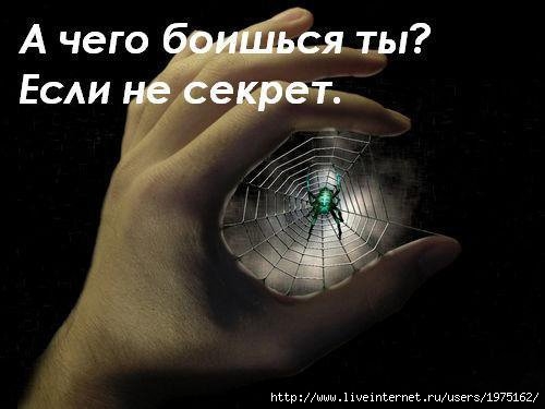  (500x375, 30Kb)