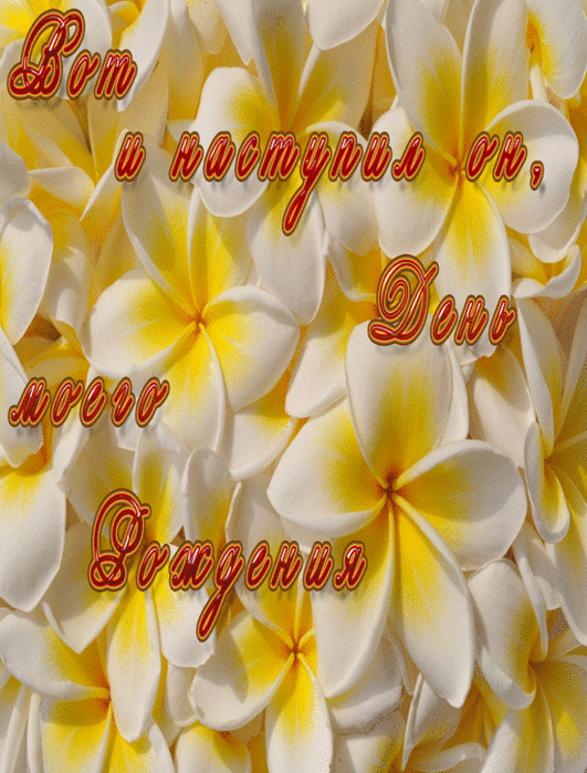  (531x699, 446Kb)
