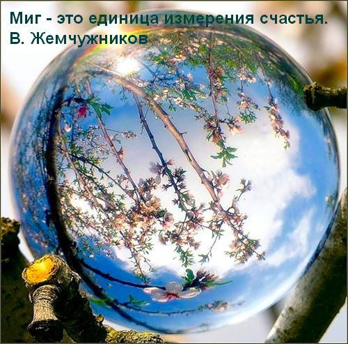  (500x493, 62Kb)