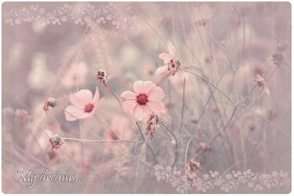 My dreams 1 (600x400, 331Kb)