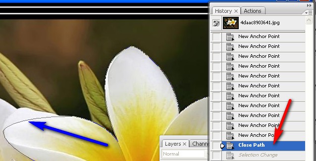 Как сделать стрелки в Adobe Photoshop