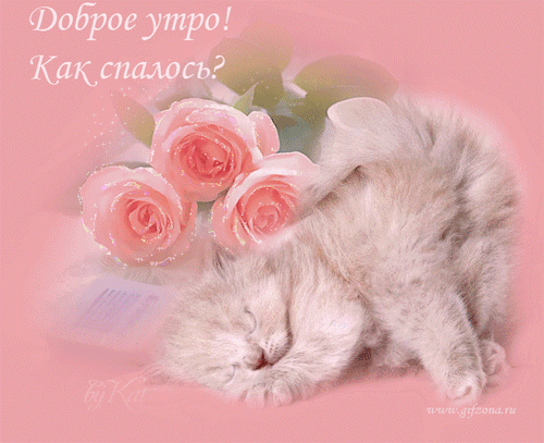  (500x407, 515Kb)