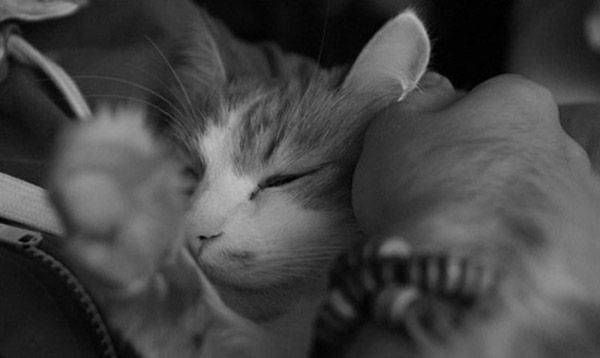  (600x358, 47Kb)