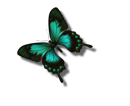  (434x353, 59Kb)